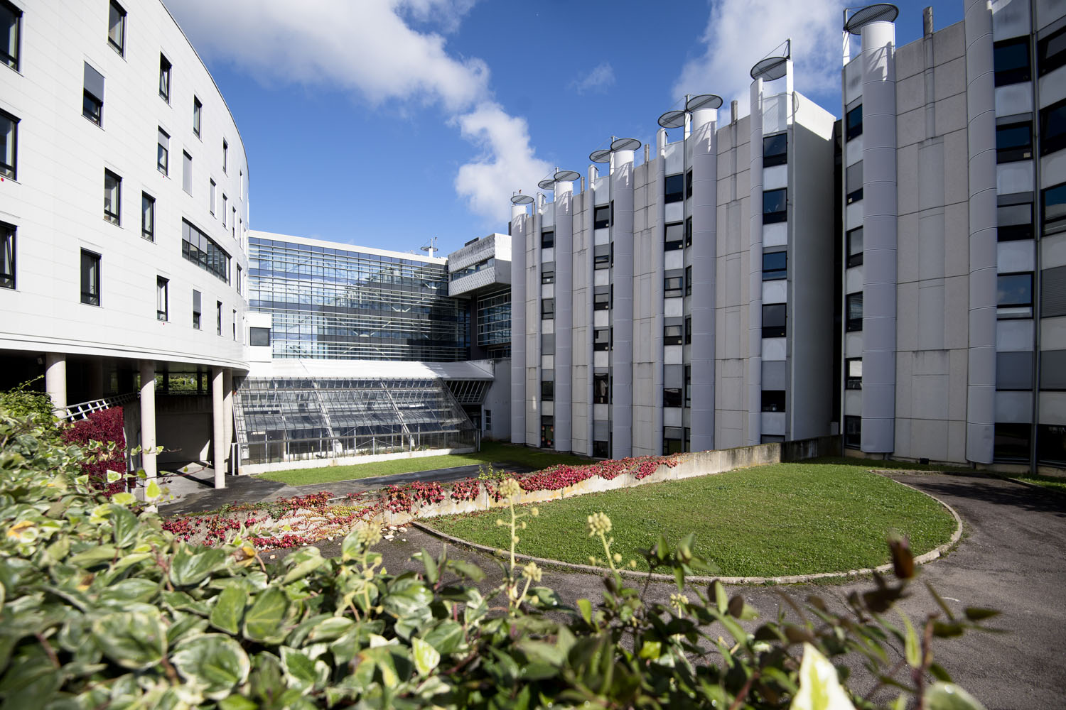 Lettre De Motivation Aide Soignante En Usld